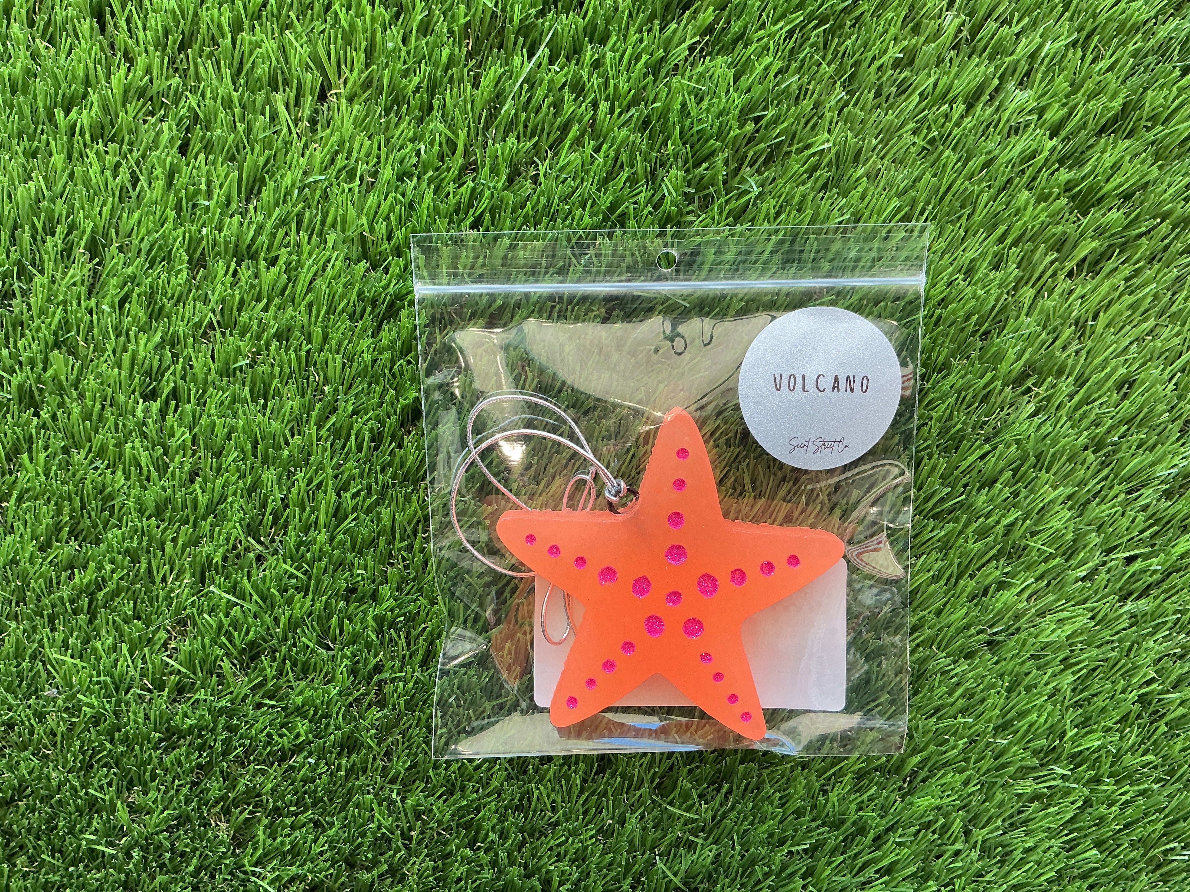 Freshie- Starfish