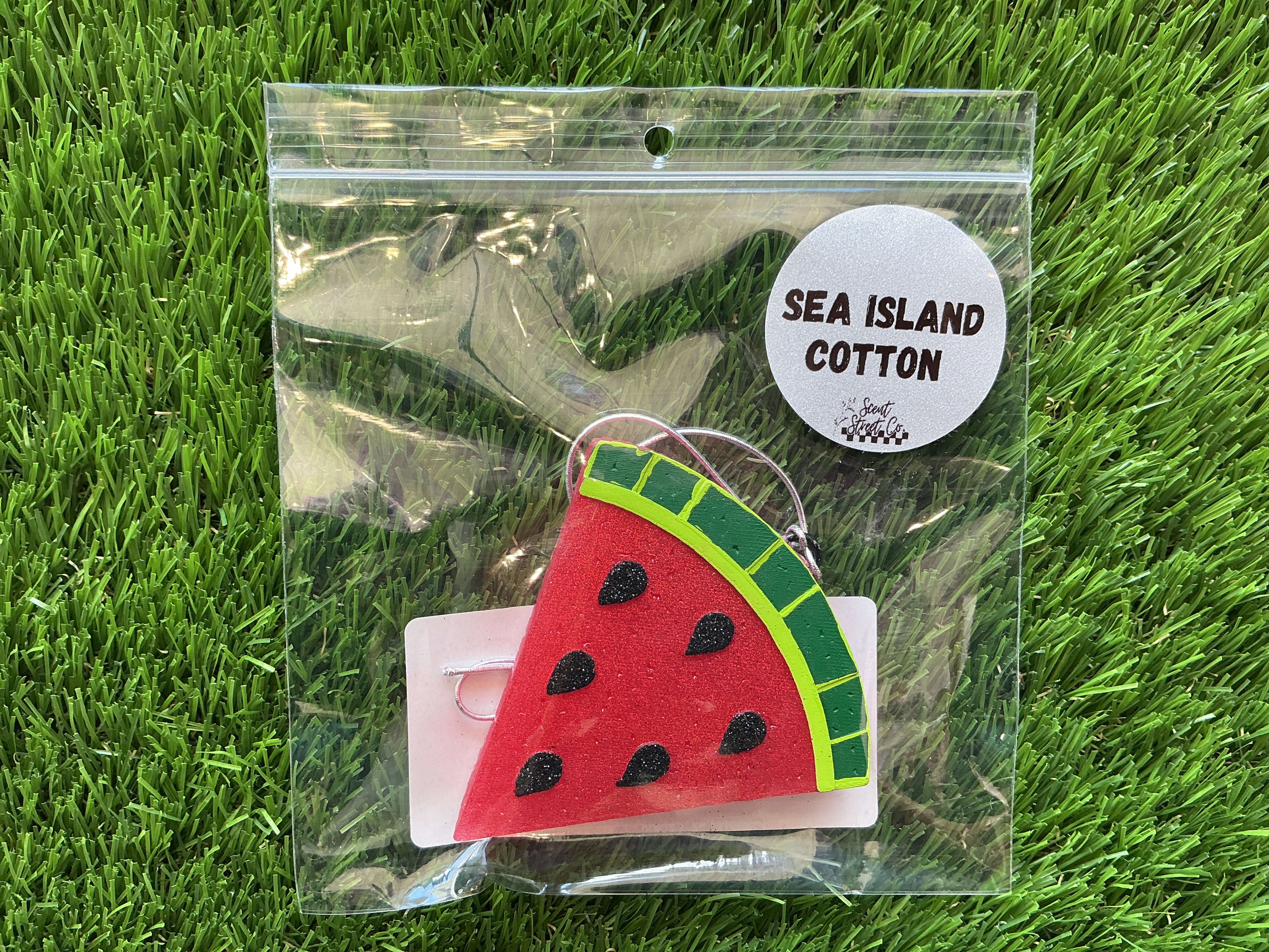 Freshie- Watermelon