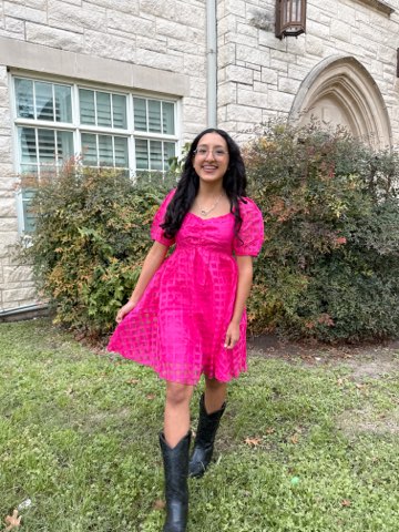 Strawberry Pink Puff Sleeve Dress