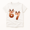 6 7 reindeer
